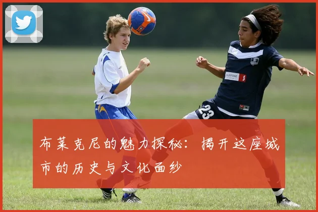 布莱克尼的魅力探秘：揭开这座城市的历史与文化面纱