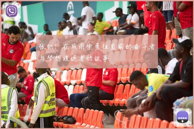 张帆：在风雨中勇往直前的奋斗者与梦想追逐者的故事